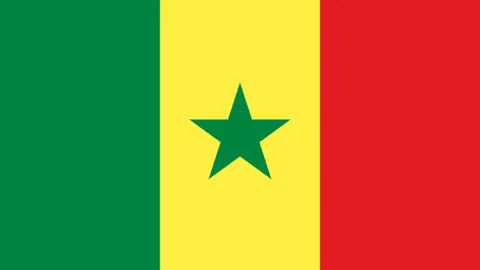 大乐透期号专家推荐：质合分析前区十码预测